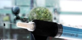 medicinale cannabis cbd extracten cbg technologische doorbraak cannabis olie wietexperiment wietproef wietolie
