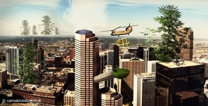 Denver cannabisindustrie cannabis industrie CBD marktomvang markt wereldwijd cannabis bezorging