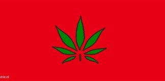 Marokko cannabis hasj medicinale cannabis industriële hennep