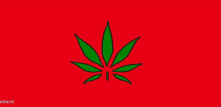 Marokko cannabis hasj medicinale cannabis industriële hennep