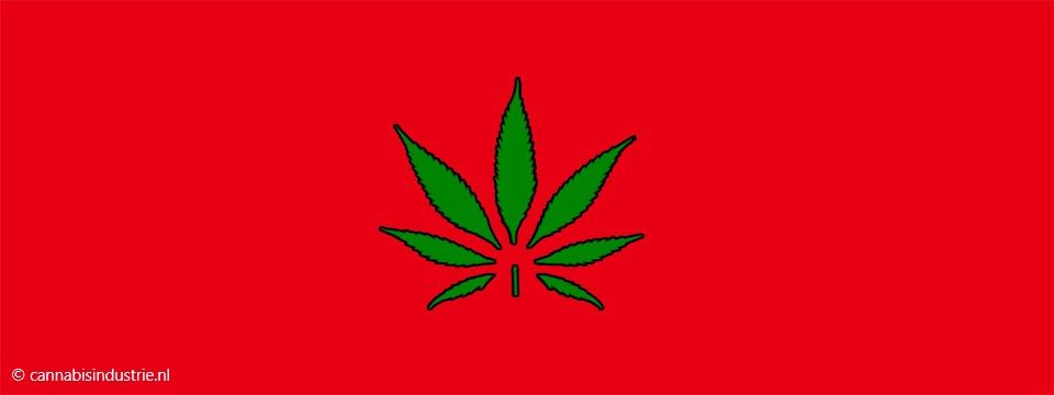 Marokko cannabis hasj medicinale cannabis industriële hennep