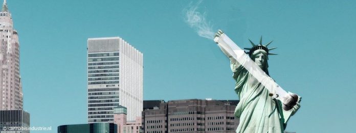 New York akerna legale cannabis verkoop jay-z amerikaanse staten