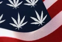 Canopy Growth CEO legale cannabis verkoop maine nebraska Amerikaanse verkiezingen cannabis legalisatie amerikaanse congres more act georgia