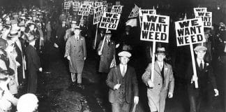 Column: Gerrit Jan ten Bloemendal over de Cannabis Kieswijzer cannabis kieswijzer bibob wietexperiment wietproef