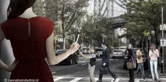 Waterland lanceert actieplan tegen cannabisgebruik jongeren august de loor vrouwen cannabisindustrie simone van breda