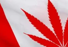 cannabis aandelen canada medicinale cannabis studie high tide british columbia legale cannabis winkels Village Farms Pure Sunfarms inheemse cannabisindustrie diversiteit aphria tilray fusie