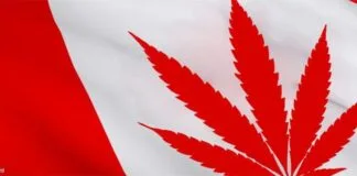 cannabis aandelen canada medicinale cannabis studie high tide british columbia legale cannabis winkels Village Farms Pure Sunfarms inheemse cannabisindustrie diversiteit aphria tilray fusie