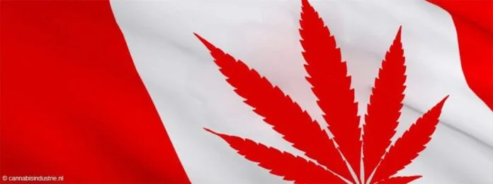 canada cannabis aandelen canada medicinale cannabis studie high tide british columbia legale cannabis winkels Village Farms Pure Sunfarms inheemse cannabisindustrie diversiteit aphria tilray fusie