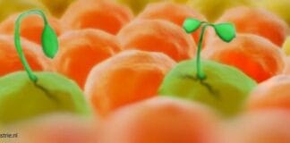 cannabis nanotechnologie CBG productie fermentatie playboy cannovex cannabinoïden België fyta company Cannabis Global kanker