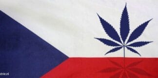 Tsjechië cannabis legalisering legalisatie regulering cannabismarkt