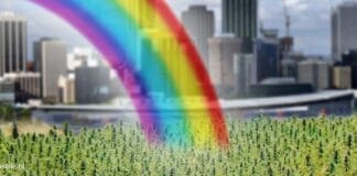 cannabis belastingen Massachusetts cbd olie coffeeshp dizzy duck den haag 5000 clever leaves zkittlez wiet