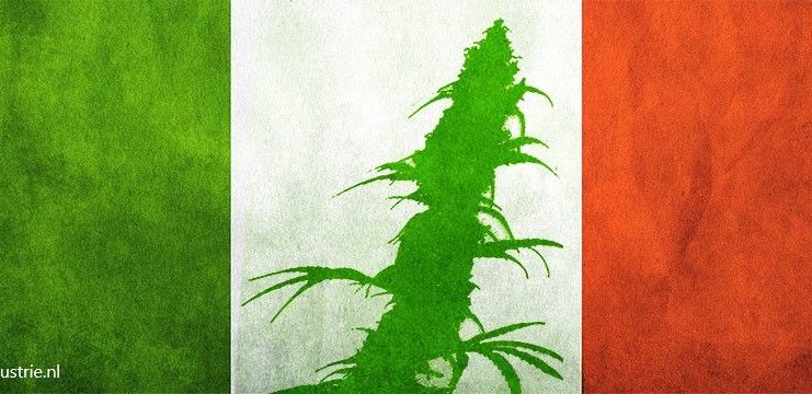 italië cbd olie cbd extracten medijn drug