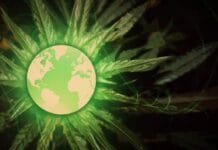 Legale cannabis leidt tot meer banen en economische verbeteringen cannabis industrie canada vs internationale cannabismarkt KvK Canada VS wereldwijd medicinale cannabis industriële hennep legale cannabis verkooprecords