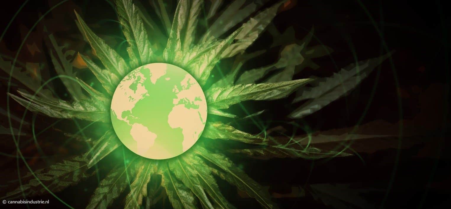 cannabis industrie canada vs internationale cannabismarkt KvK Canada VS wereldwijd medicinale cannabis industriële hennep legale cannabis verkooprecords