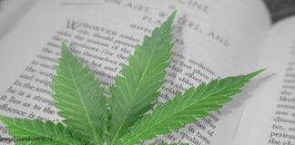 Cannabis Industrie Nieuwsbrief #141 nieuwsbrief