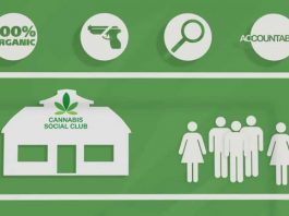 cannabis social clubs barcelona