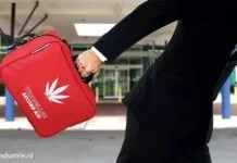 medicinale cannabis LUMC chronische pijn Leids Universitair Medisch Centrum VWS jazz pharmaceuticals gw pharmaceuticals