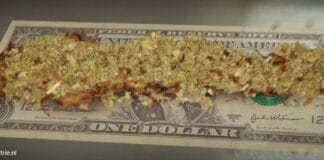 legale cannabis verkoop rabobank coffeeshop coffeeshophouder pinbetaling contant geld