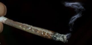 Amerikaans onderzoek vindt zware metalen in 90% van de vloei kort geding wietproef initiatieven vloei pesticiden zware metalen blowverbod corona maatregelen grapperhaus