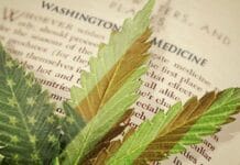 cannabis legalisatie legale cannabis verkoop Californië cbd onderzoek lever cannabis bezorging GW Pharma Sativex MS