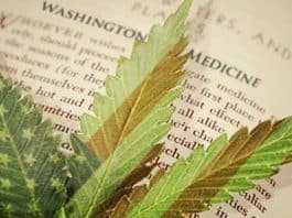 cannabis legalisatie legale cannabis verkoop Californië cbd onderzoek lever cannabis bezorging GW Pharma Sativex MS