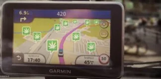 coffeeshoptoerisme rijvaardigheid cbd thc speekseltest ict-problemen wietexperiment wietproef