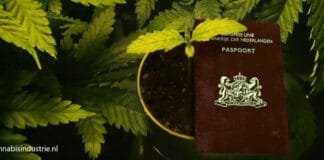 aanmelding wietproef wietexperiment experiment gesloten coffeeshopketen assortiment jef martens analyse wietproef loting project c