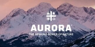 aurora cannabis stock aandelen ceo Miguel Martin UFC