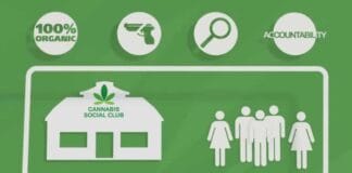 cannabis social clubs
