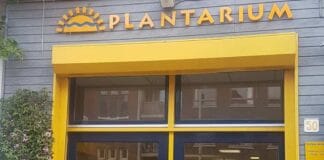 growshop plantarium nijmegen column