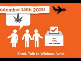 nieuw-zeeland cannabis legalisatie referendum