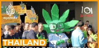 Thailand medicinale cannabis