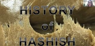 frenchy cannoli geschiedenis hasj hasjolie