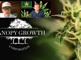 bruce linton interview canopy growth