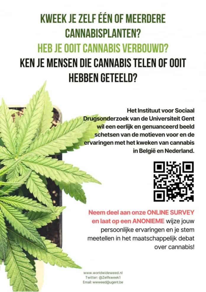 Universiteit Gent zoekt mensen die cannabis kweken voor online survey