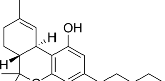 cbd omzetten in synthetische thc