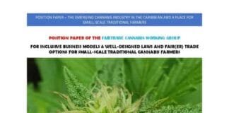 Fair Trade cannabis werkgroep publiceert position paper voor Caraïben
