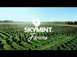 Skymint Farms buitenwiet Michigan
