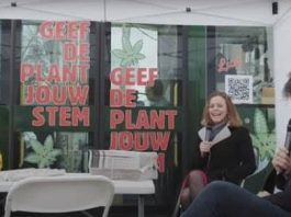Paul Depla Greetje Bos VVD cannabis regulering dubbelinterview interview Breda CannaStemBus
