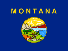 Montana cannabis legalisatie VS
