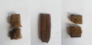 Highlife Cup 2021 import hasj categorie