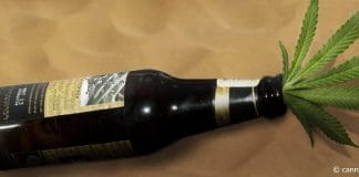 Alcohol cannabis schade hersenen