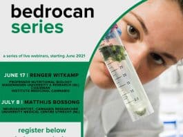bedrocan series webinars medicinale cannabis