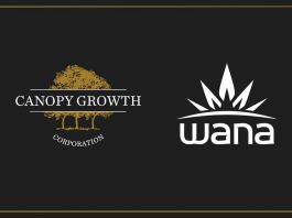 canopy growth wana brands edibles producent