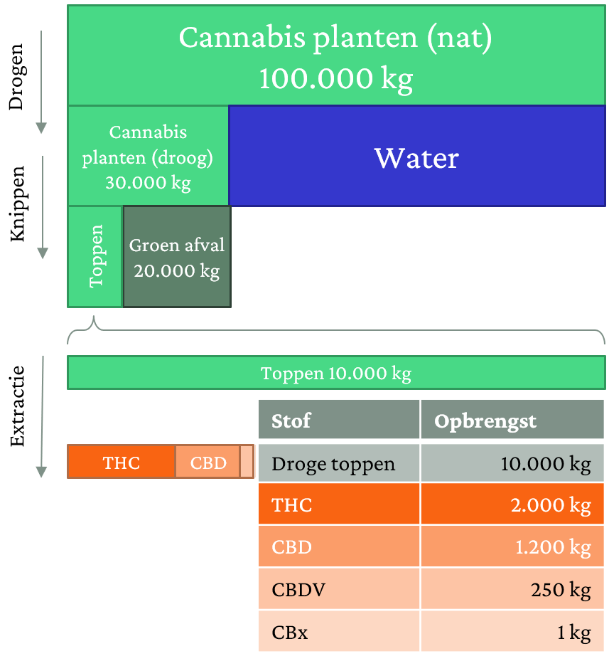 Verliesfunctie over hoe men van 100 ton cannabisplant tot opgeteld 3451 kg werkzame stoffen komt.