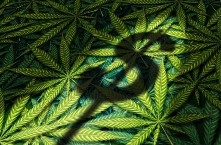 Akerna presenteert top vijf cannabis verkoopdagen in VS van 2021
