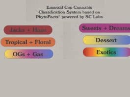 Emerald Cup cannabis classificatiesysteem