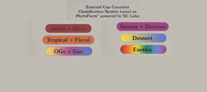 Emerald Cup cannabis classificatiesysteem
