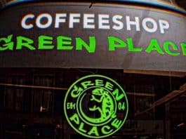 coffeeshop green place haarlemmerstraat
