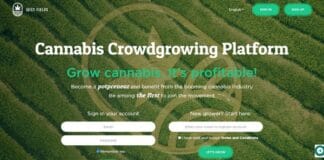 Juicy Fields scam platform cannabis kweken